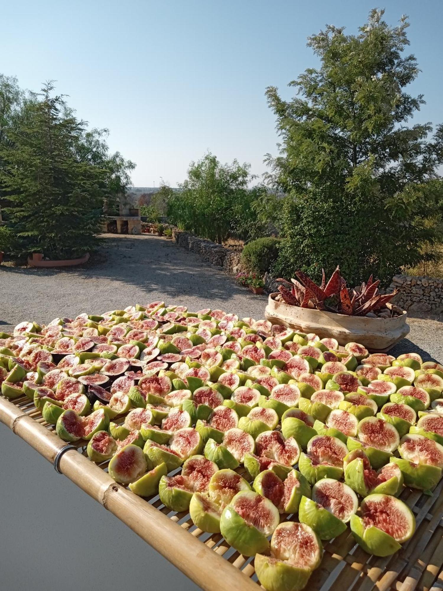 Oniro Specchia Bed & Breakfast Exterior foto