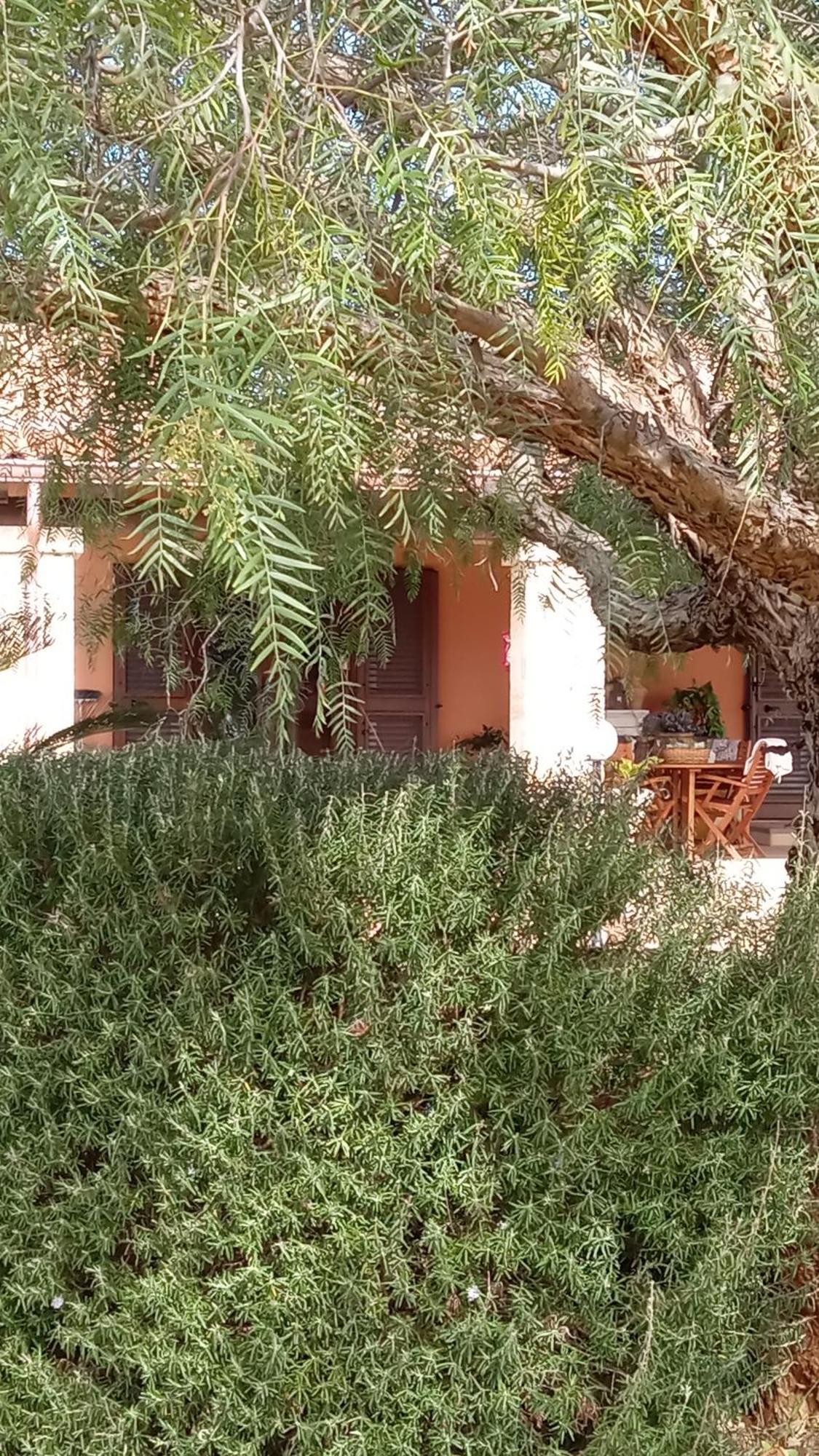Oniro Specchia Bed & Breakfast Exterior foto